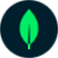 MongoDB 官方图标